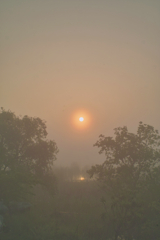 inba lake at 5:19 25,Apr 2022