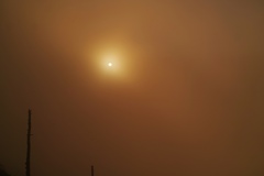 shibutoge at 5:40 12,Sep 2021