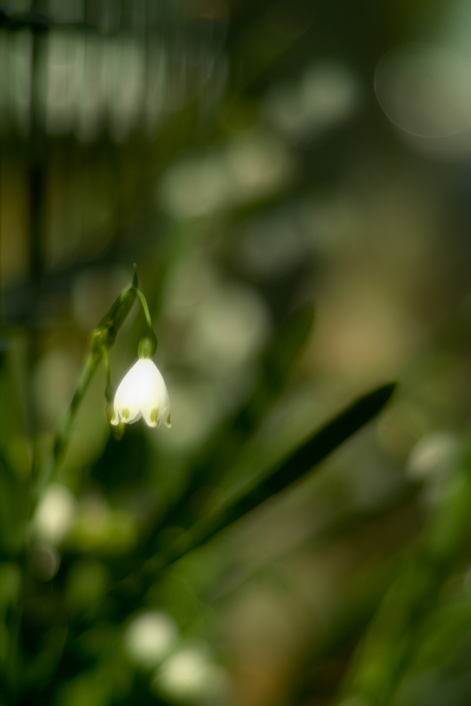 let me know your name