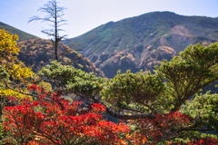 mt.ontake at 10:06 Oct.11 2024