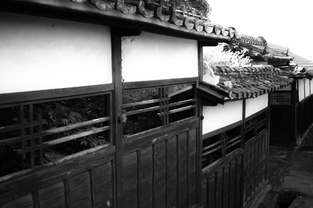 筑波by DP2 Merrill