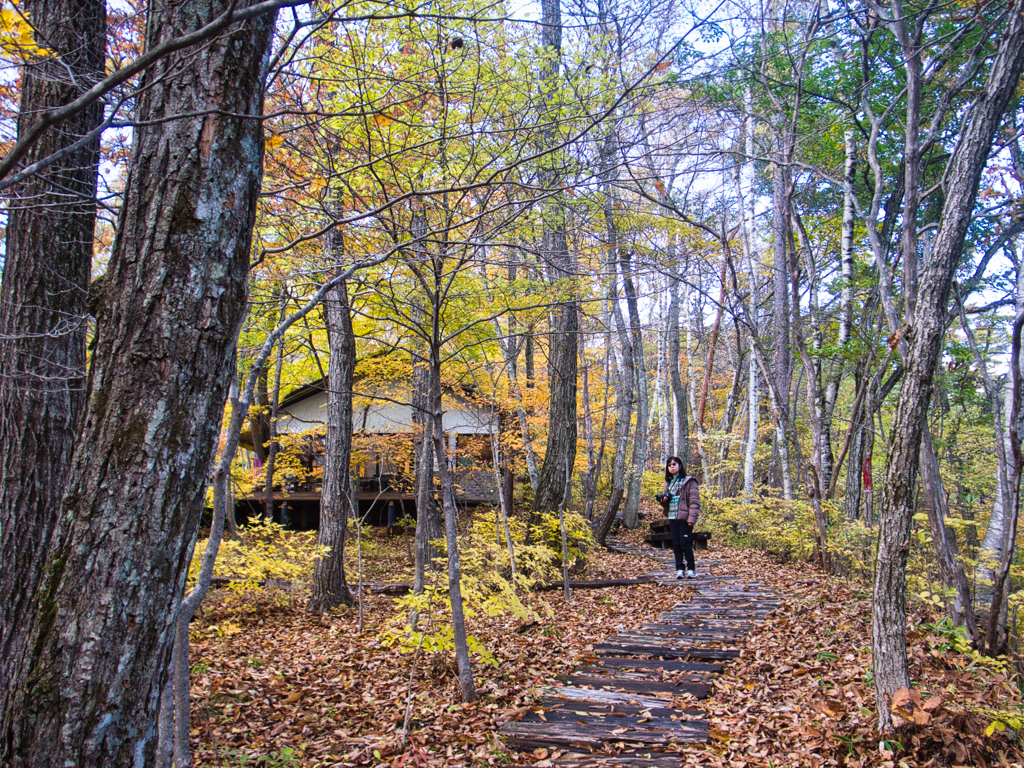 okkototei at 12:52 Nov,3 2025(GRD)