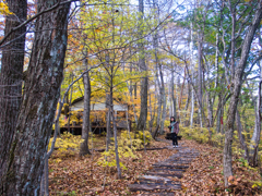 okkototei at 12:52 Nov,3 2025(GRD)