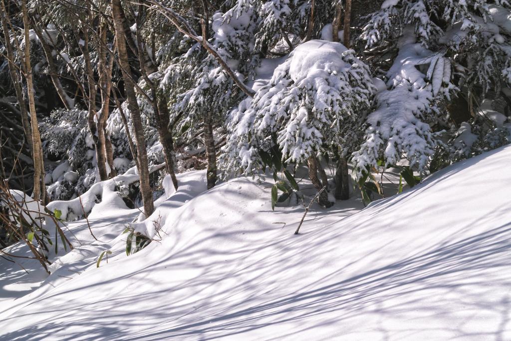mt.yunomaruyama at 10:01 Jan,16 2026