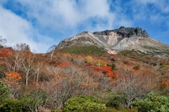 mt.cyausu at 13:15 Oct,20 2024