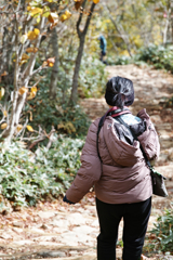 mt.cyausu at 10:26 Oct,20 2024