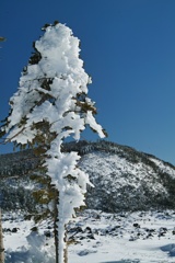 mt.kitayokodake at 9:40 Feb,21 2025
