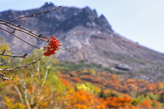 mt.cyausu on Oct.12 2025