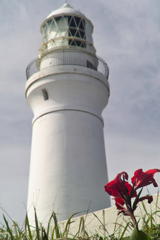 light house & flower