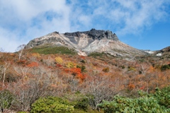 mt.cyausu at 13:14-3 Oct,20 2024
