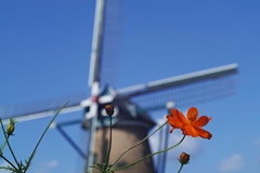 wind mill at sakura city in chiba pref.