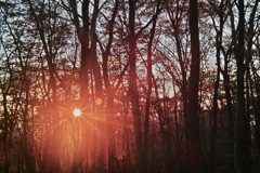 hapougahara in tochigi pref.