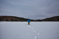 shirakoma night at 14:45 Dec,20 2024