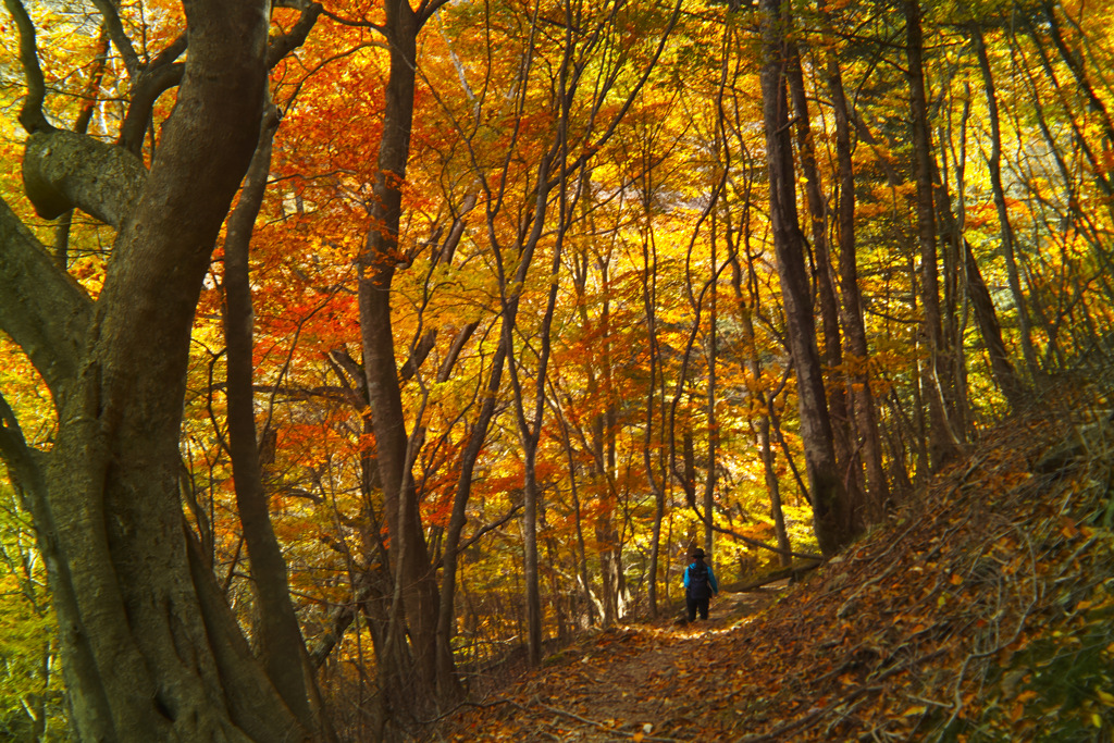 hapougahara in tochigi pref.