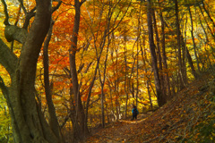 hapougahara in tochigi pref.