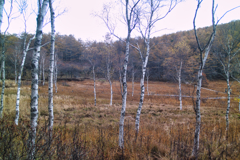 mt.nyuukasayama at 13:42 Nov,2 2025