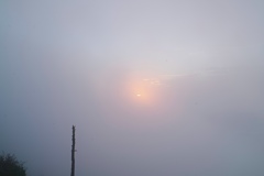 shibutoge at 5:26 12,Sep 2021