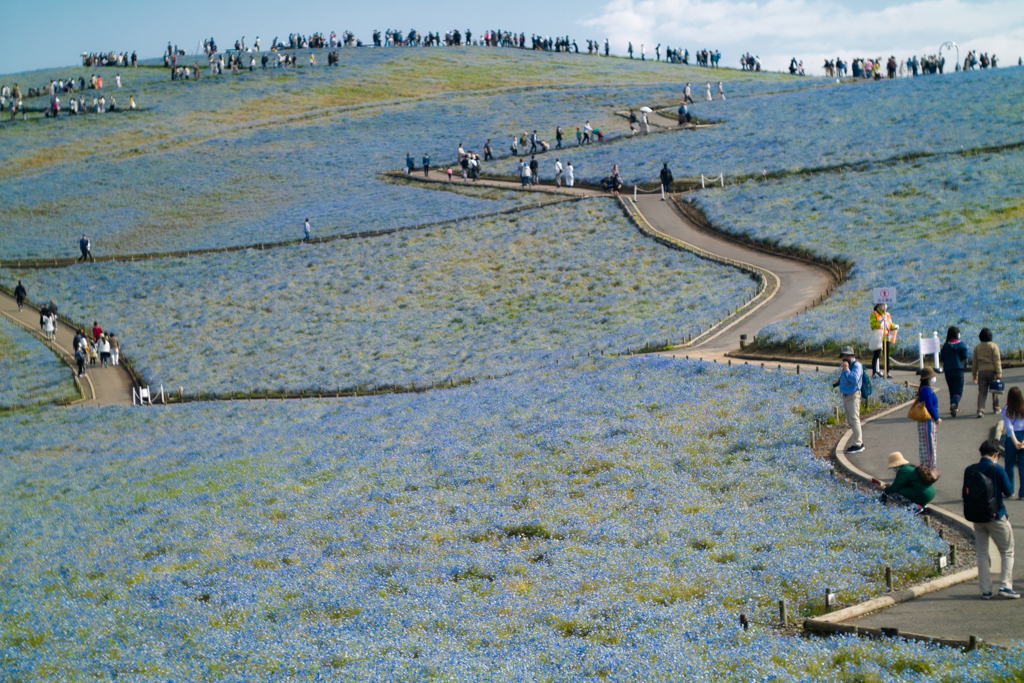ひたちなか海浜公園