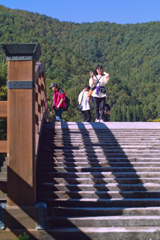 naraijyuku at 13:22 Oct,13 2024