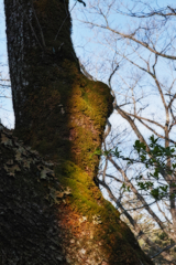 mt.daibosatsurei at 6:15 29,Apr 2023