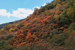 mt.cyausu at 10:30 Oct,20 2024