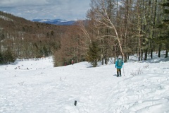 Mt.nyukasayama at 12:18 Feb,23 2025