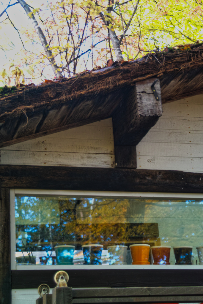 Yatsugadake club at 12:46 Nov,3 2025