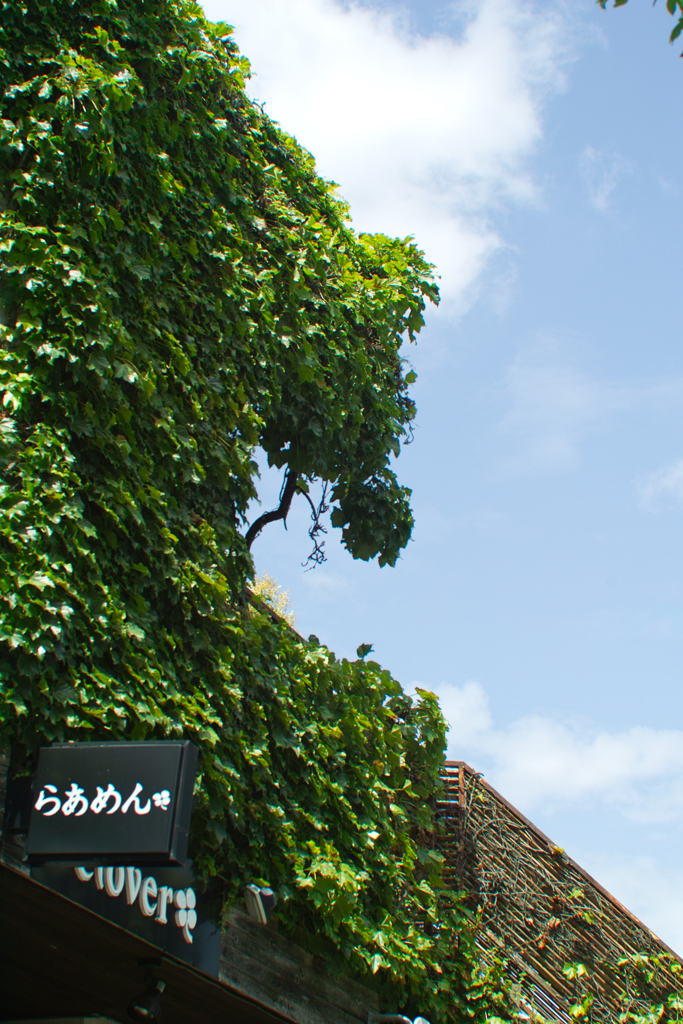 clover at narita city