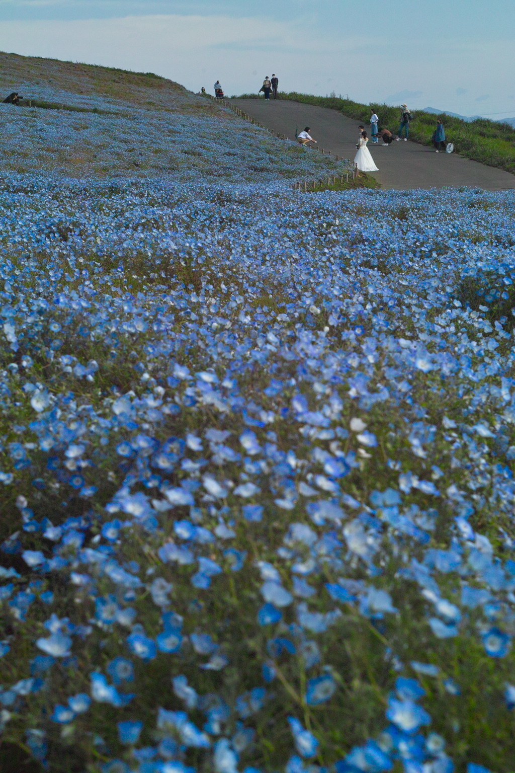 ひたちなか海浜公園