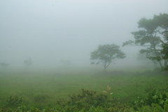 mt.asahidake in nasu at 14:09 Jul,12 202