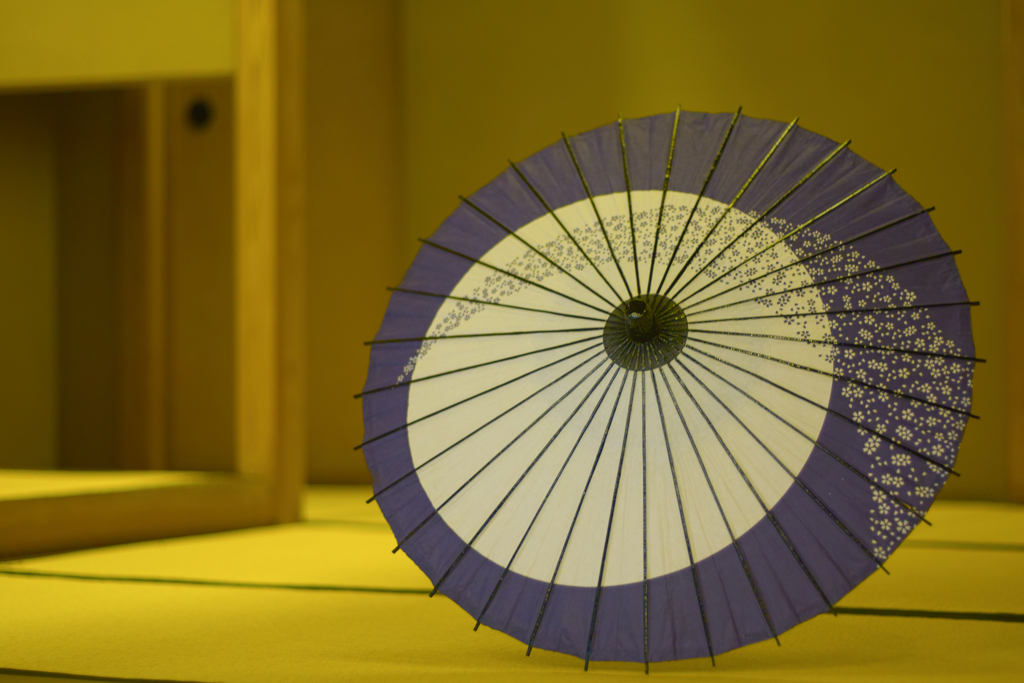 fukuichi(ikaho) at 16:50 Mar,14 2025