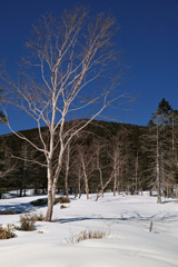 kitayokodake at 14:33 15,Mar 2023