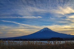 ooishi park at 16:14 Dec,30 2024