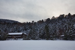 shirakoma night at 15:30 Dec,20 2024