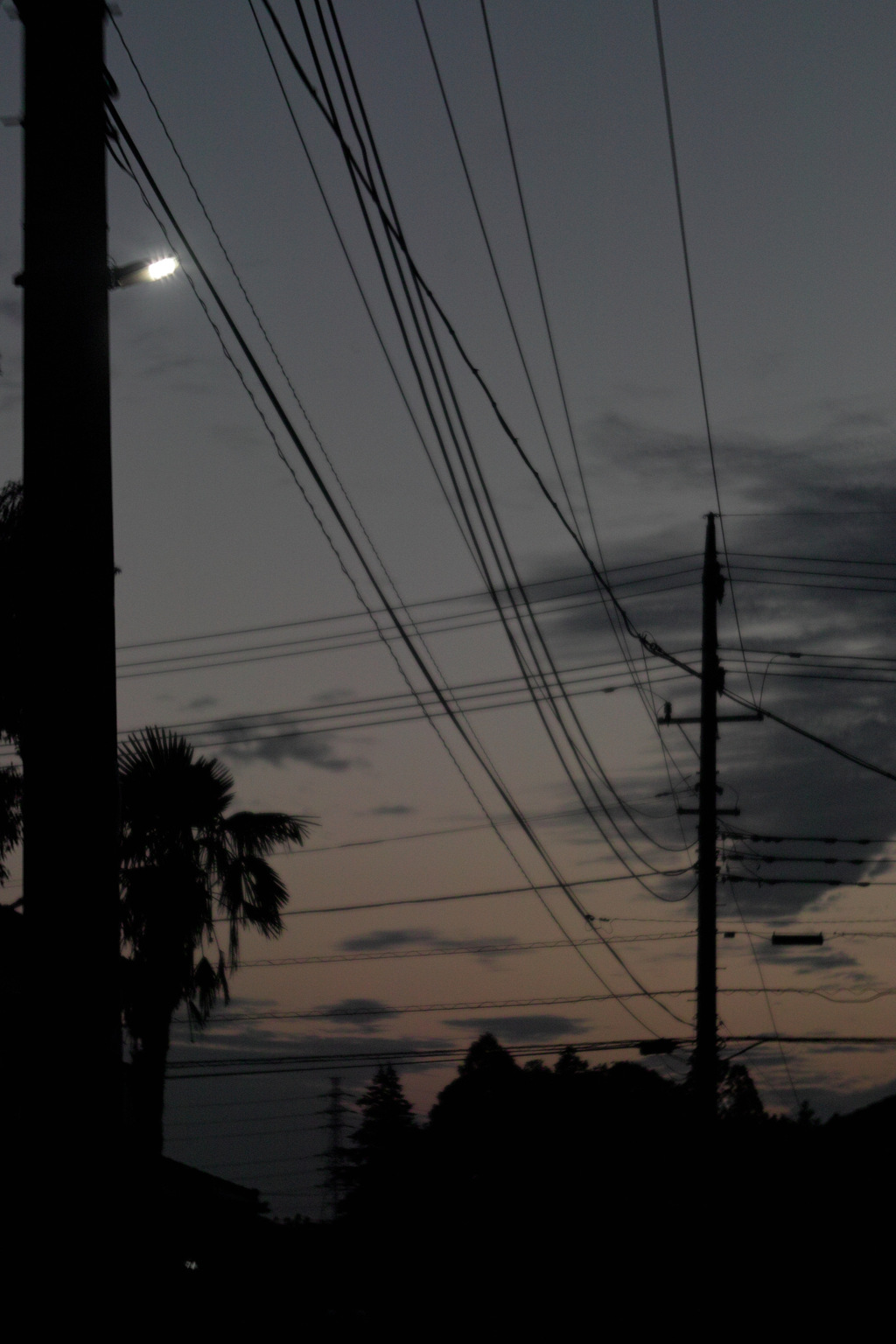 eary morning at 4:12 AM 22,Jun 2021