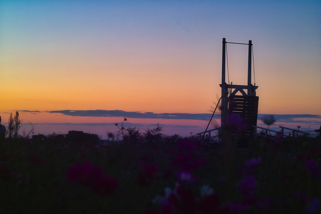 sakura furusato suqare at 17:29 1,Oct 20