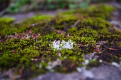 on the way to takamiishi hutte