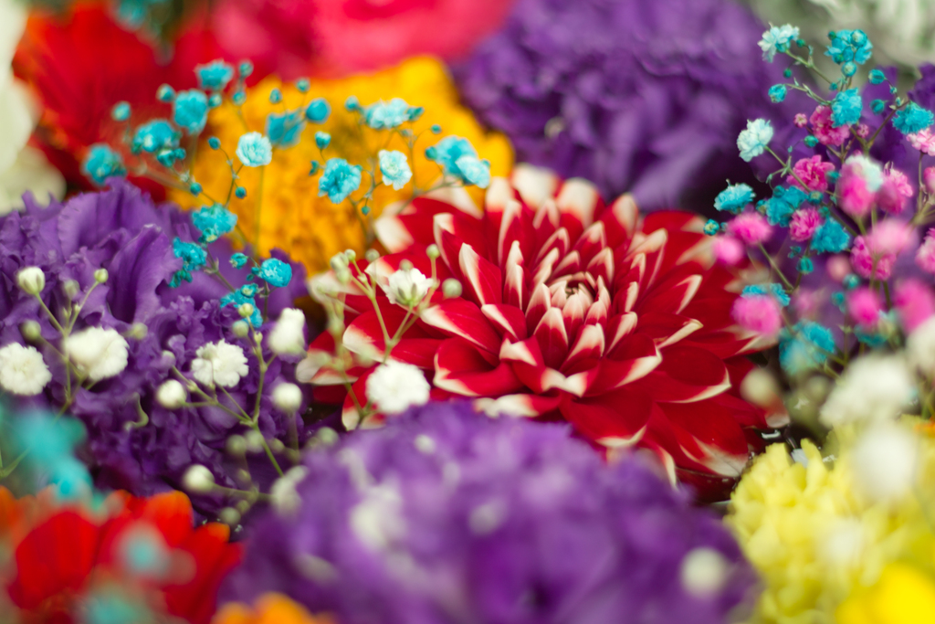 flower water at tama shrine