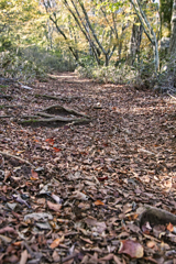 mt.tsukuba at 9:21 Nov,9 2024