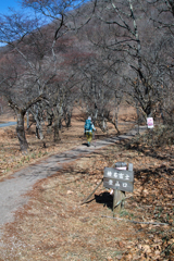 mt.harunasan at 12:17 Jan,17 2025