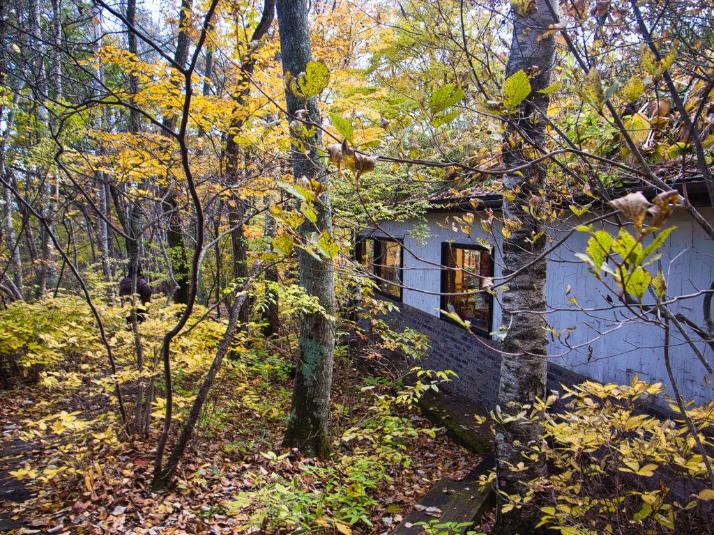 okkototei at 12:49 Nov,3 2025(GRD)