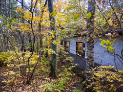 okkototei at 12:49 Nov,3 2025(GRD)