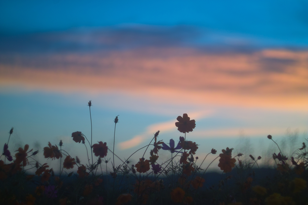 cosmos at 5:28 2,Oct 2022