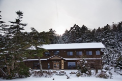 shirakoma night at 14:38 Dec,20 2024