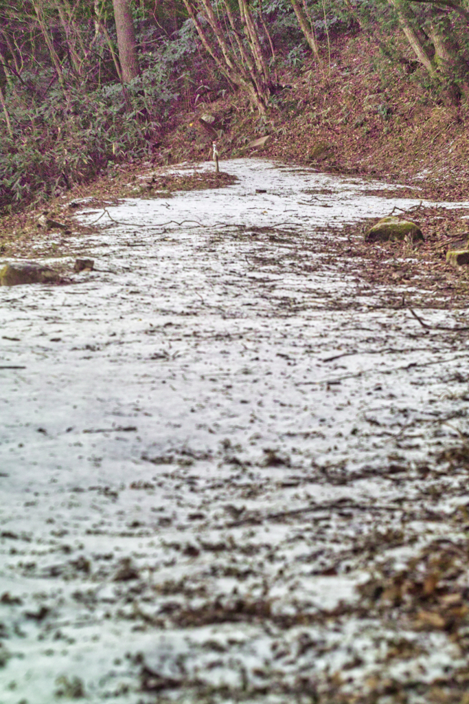 mt.tsukuba04