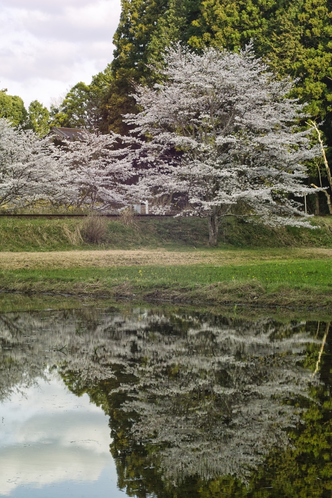 Itabu station at 16:23 Apr,5 2025