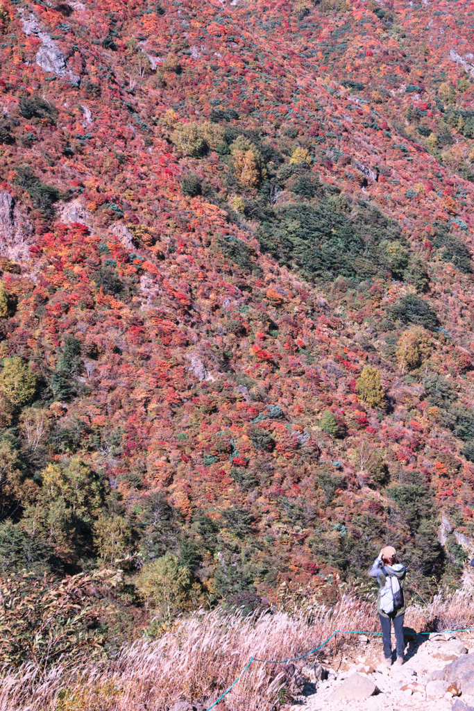 mt.cyausu on Oct.12 2025