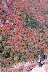 mt.cyausu on Oct.12 2025