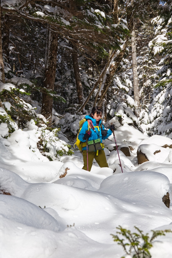 shirakoma lake at 12:13 Dec,20 2024