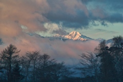 seisenro at 6:28 25,Feb 2023